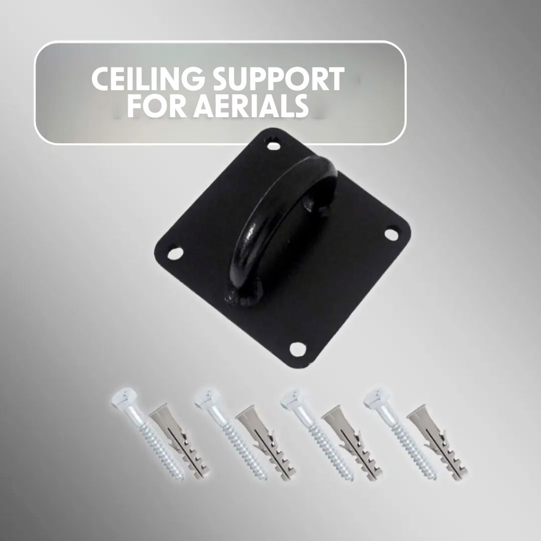 AERIAL CEILING MOUNT AERIAL CEILING MOUNT
