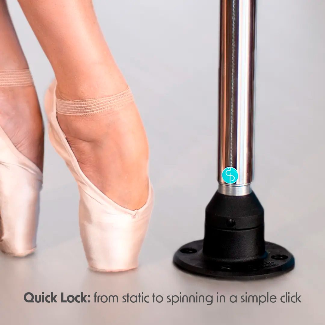 EASY PORTABLE POLE EASY PORTABLE POLE